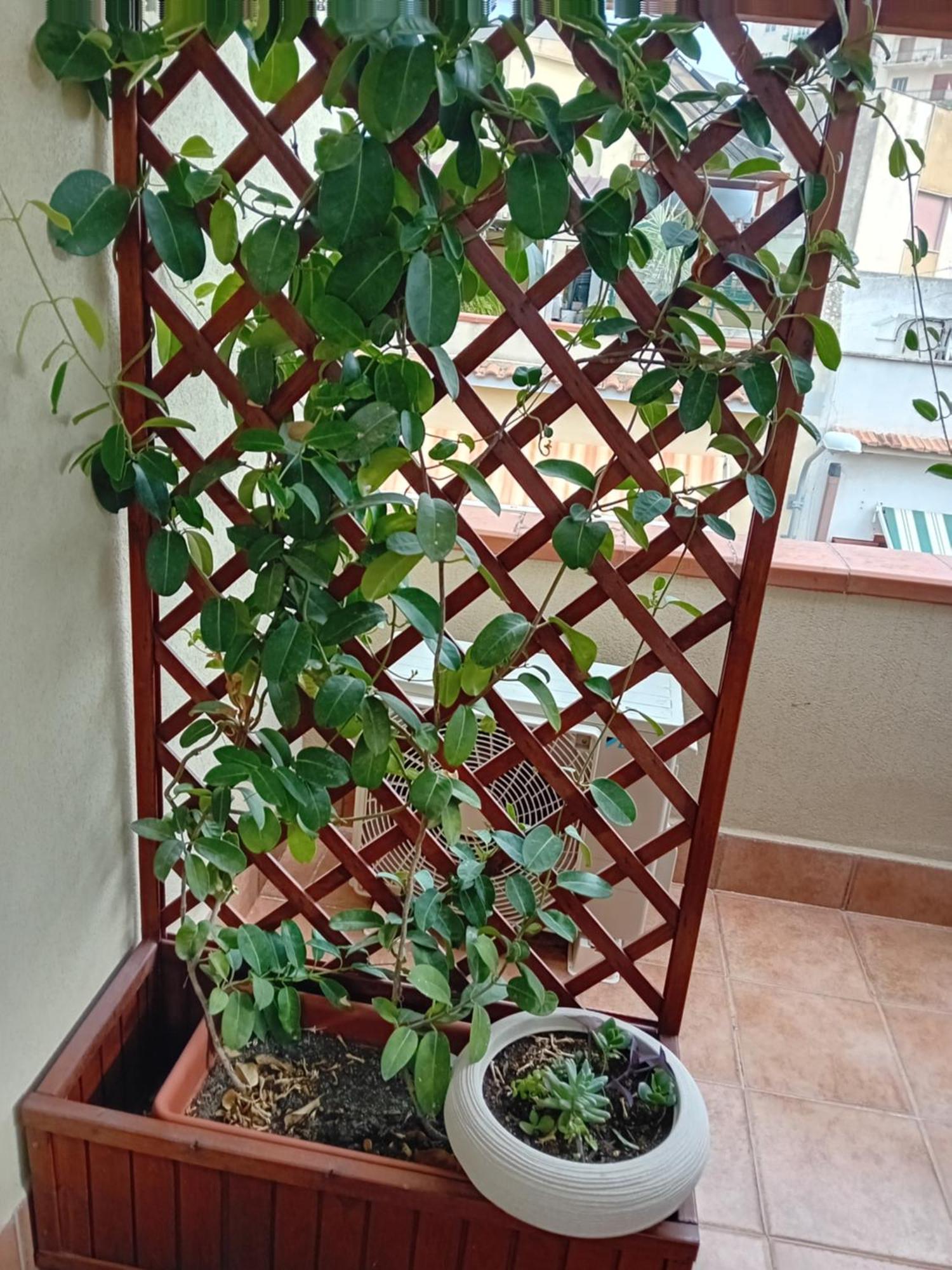 노토 A Casa Tua Affitti Brevi B&B 객실 사진